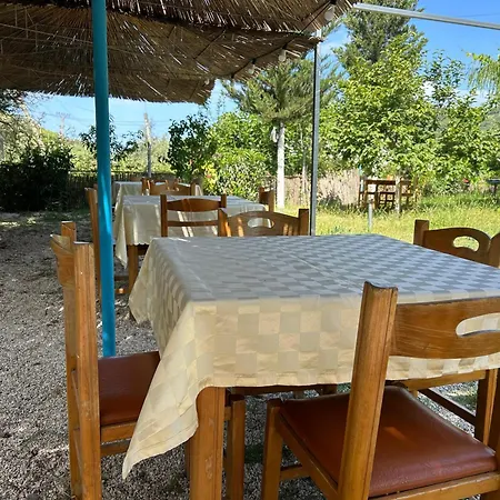 Hotel Taverna Prifti